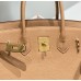 Hermes Birkin 30cm Bag In Chai Clemence Leather